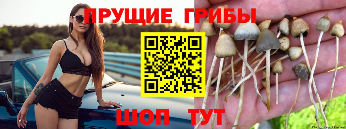 Галлюциногенные грибы MAGIC MUSHROOMS  Вход с VPN  Псилоцибиновые грибы Psilocybine cubensis  Ступино 